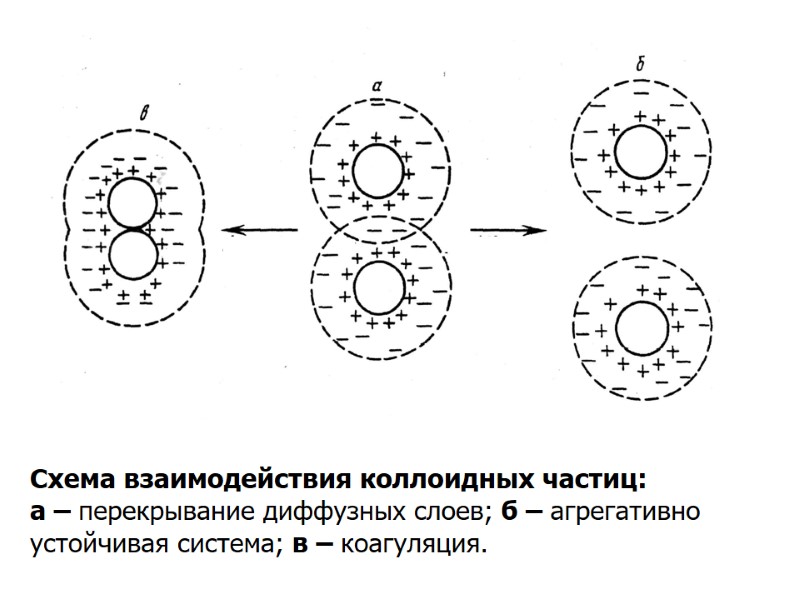 Схема взаимодействия коллоидных частиц: а – перекрывание диффузных слоев; б – агрегативно устойчивая система;